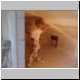 Rigips_DSC00013_t